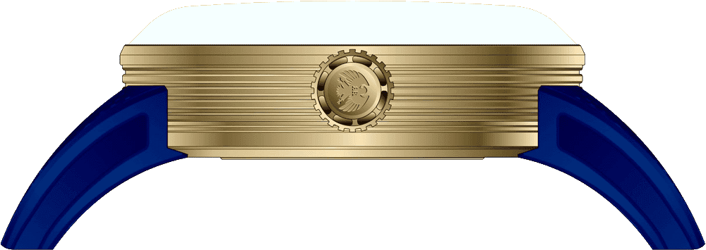 Hawk - RRA.9041.YG.BL